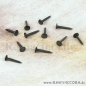 Forged Iron Nails 20 mm 1