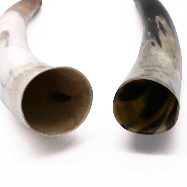 Detail Rufhorn 44 cm