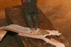 IMG1039