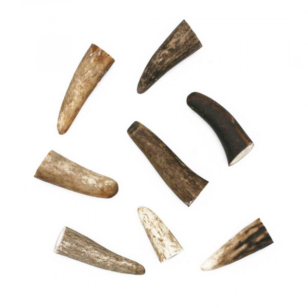 Hirschhornspitzen klein 3322