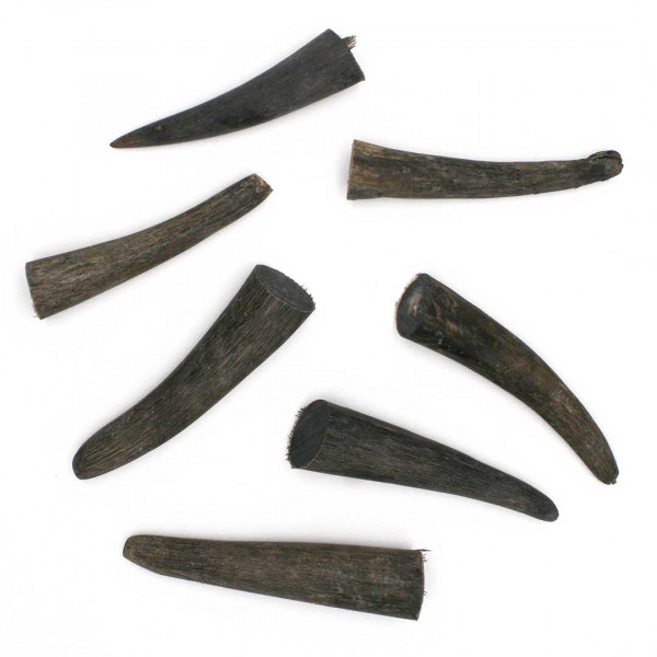 Hornenden Rinderhorn 0779