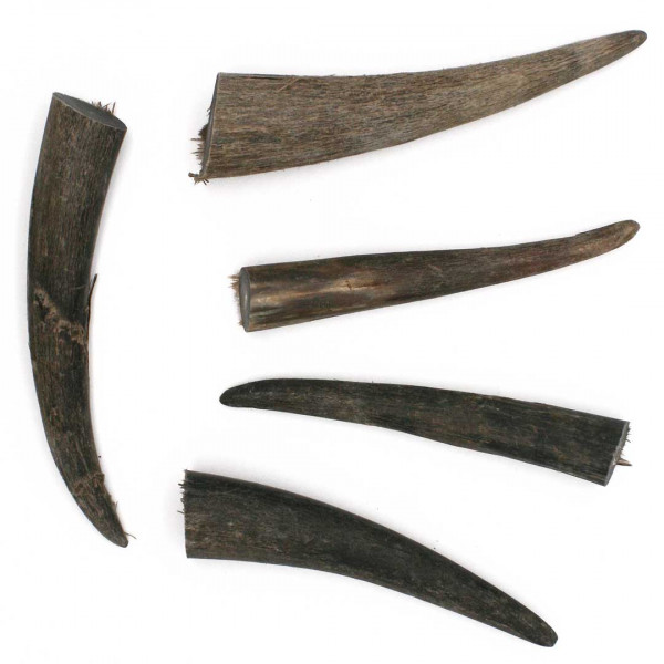 Hornspitzen Rinderhorn 3054