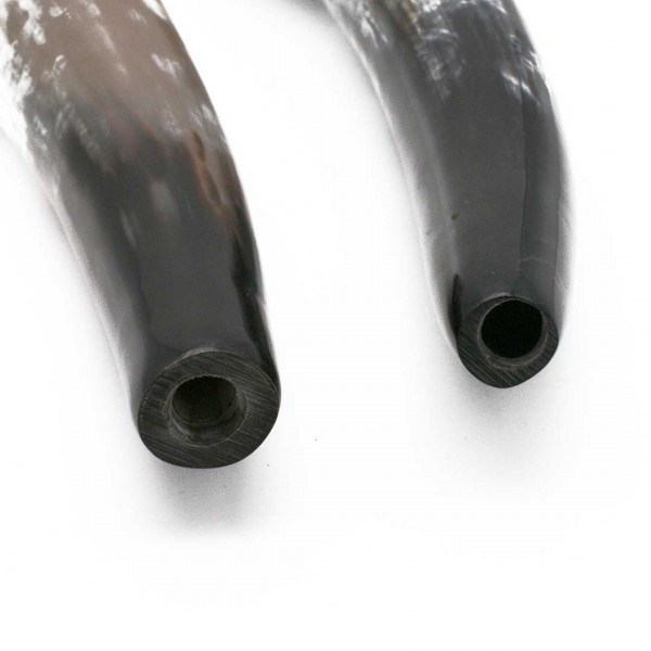 Detail Rufhorn 38 cm
